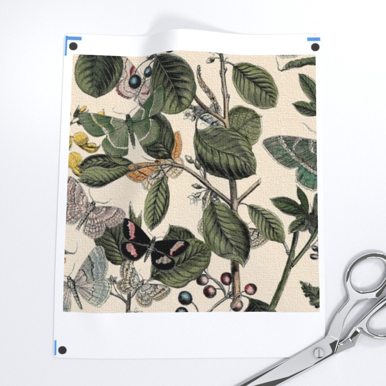 Butterfly Garden Fall Botanical Vintage Plants Bugs Nature Historic Custom Removable Wallpaper by Spoonflower Peel & Stick Wallpaper 2FT Wide